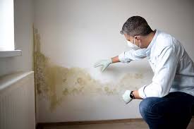 Best Airborne Mold Testing  in Holbrook, NY